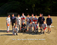Cardinals - Pony