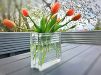 OutdoorTableTulips