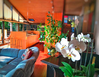 PianoOrchid