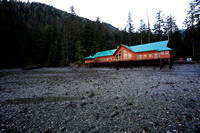 Spruce - Low Res.